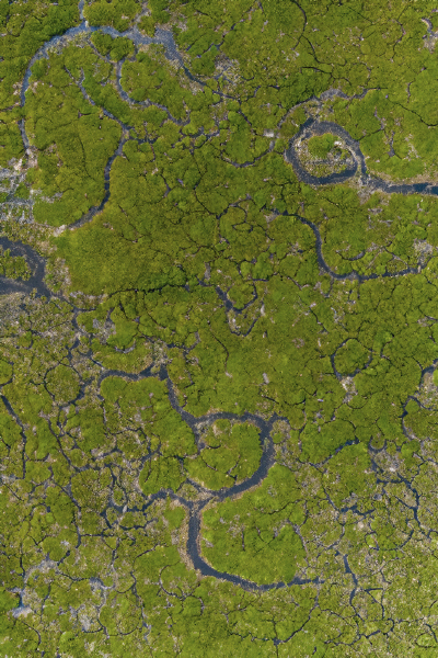 marsh aerial 1